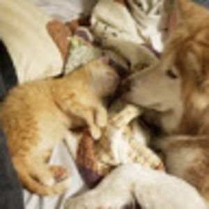 Meet your Posher, Rad